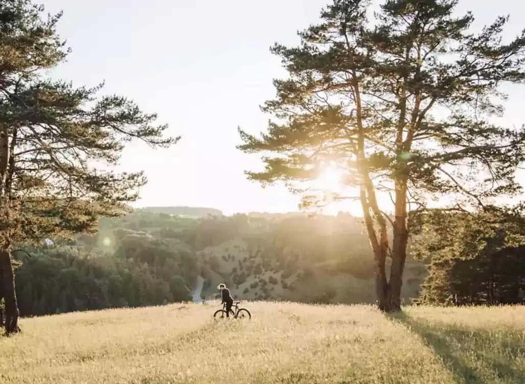我们构想并打造一个安全、智能且可持续的未来